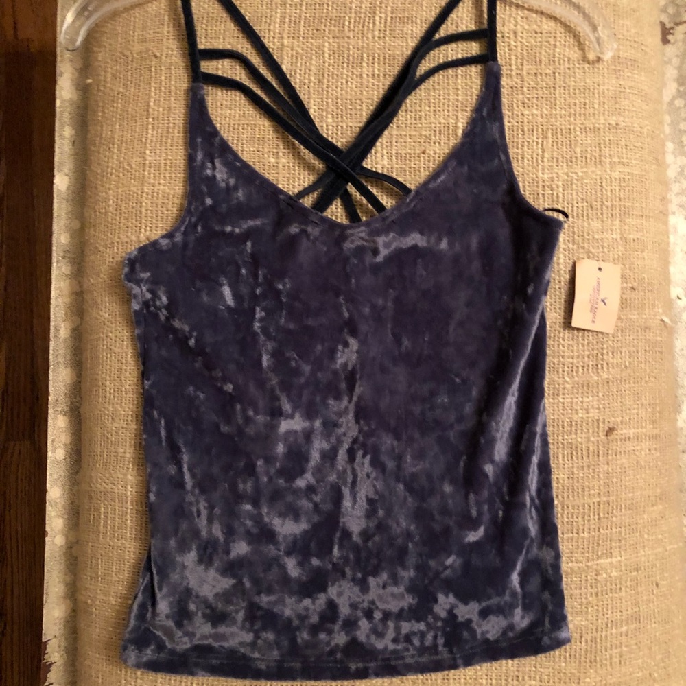 American Eagle Outfitters velvet crop top